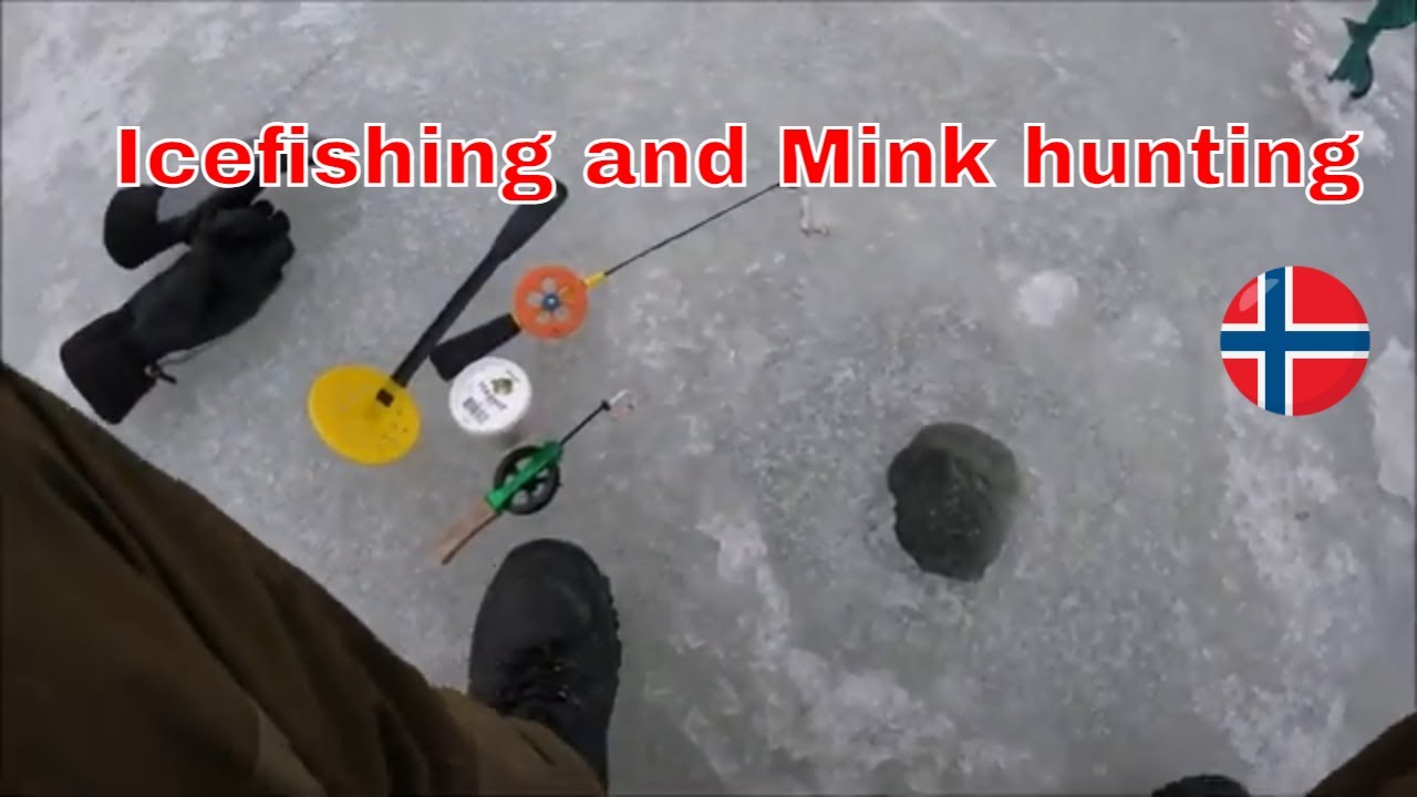 Isfiske og Mink-jakt på Hadeland  18 jan 2025