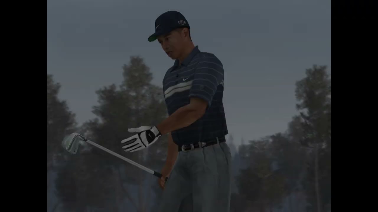 Tiger Woods PGA Tour 2005 PS2 | Gameplay