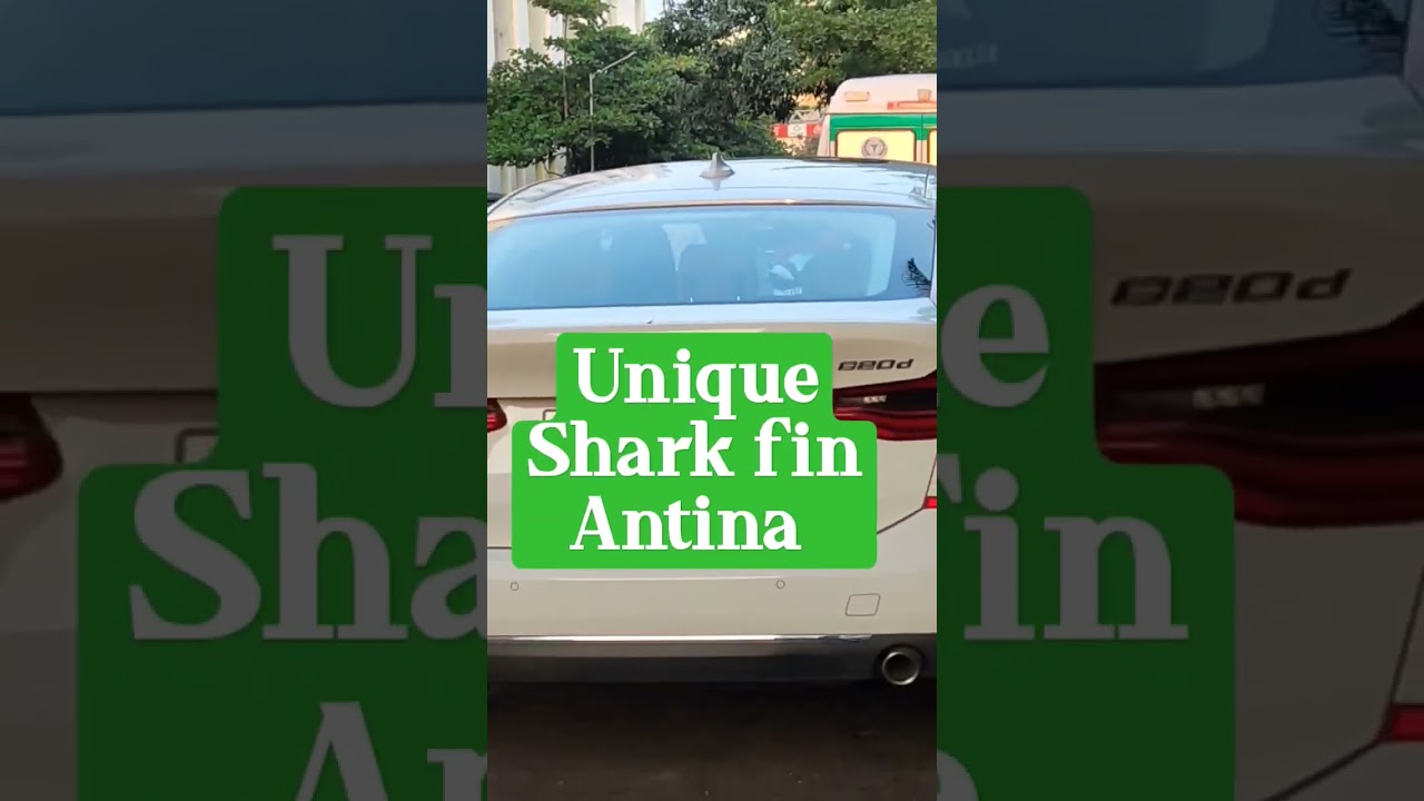 unique shark fin antina 