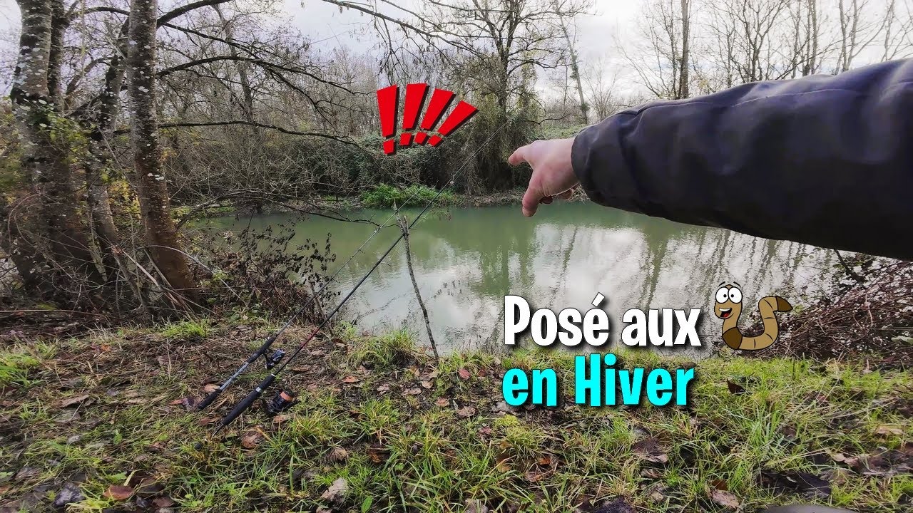 PÊCHE au POSÉ aux vers en HIVER : Ça mord ou pas ?