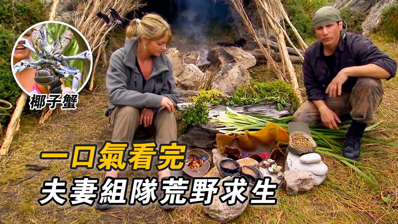 一口氣看完夫妻組隊荒野求生，荒島打野碳烤椰子蟹，沼澤狩獵50斤野豬，烹飪麻辣小龍蝦，叢林求生烤野白兔，搭建堅固保暖庇護所！紀錄片