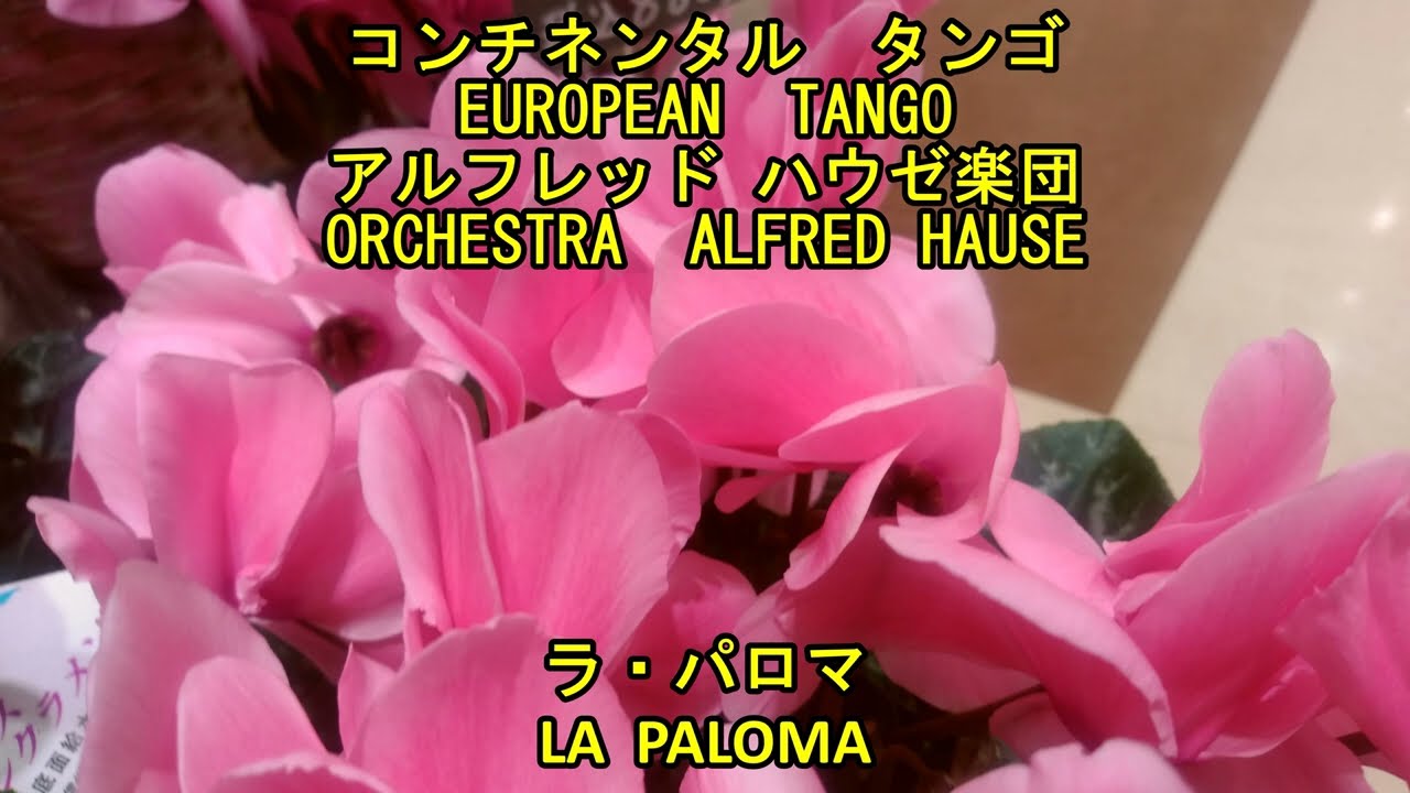 アルゼンチンタンゴ　アルフレッド・ハウゼ楽団　