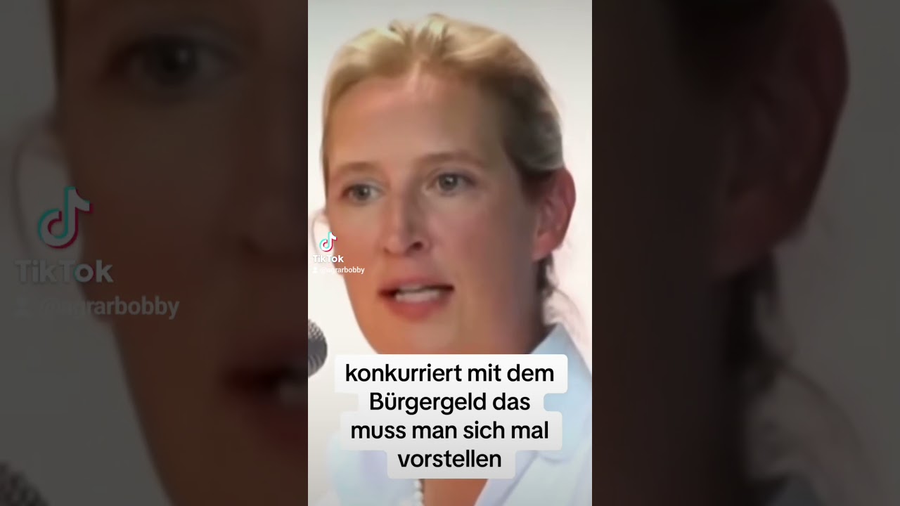 AFD - Alice Weidel - Facharbeiter - Arbeit LOHNT NICHT wegen B&uuml;rgergeld - Eure Meinung? WTF / OMG