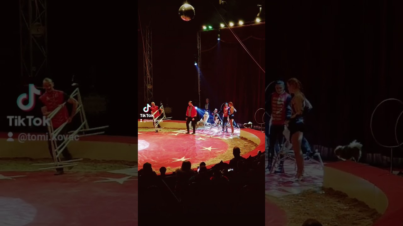 Cirkus Ale&scaron; 🎪 🎠 🙈 😄 🙌 #cirkusales #circus #circusperformance #acrobatics #tomikovac #tomitraveller