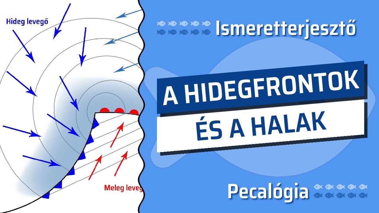 Hidegfrontok Hatása a Halakra: Felismerés és Stratégiák - Pecalógia