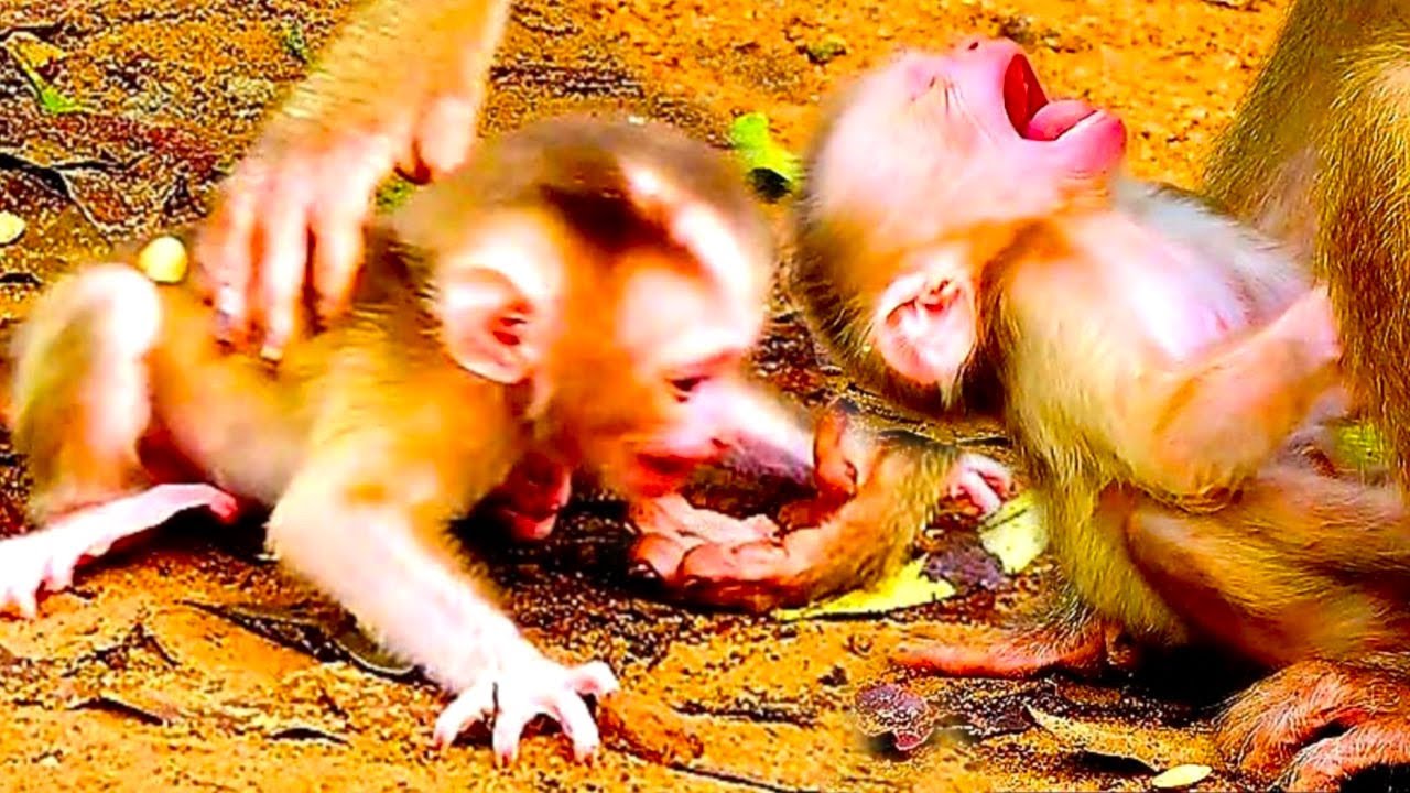 O.M.G ||Mom L.eave New Born On Ground Even Baby Just Born Only 02 Day || Baby S_cary C_rying For Mom
