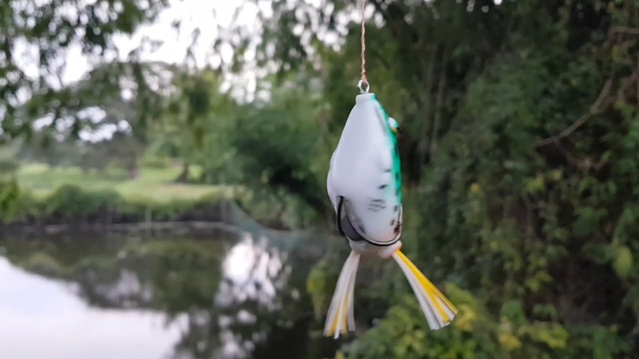 Mabisa pala ang lure na eto | Snakehead Fishing
