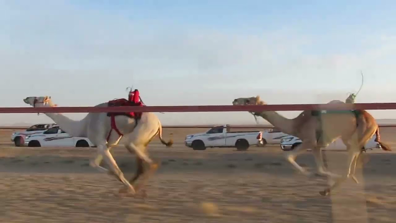 صابر. حسن عثمان الجلاب