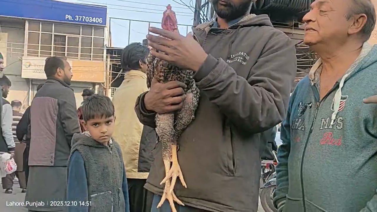 LAHORE LARI ADDA MANDI 10.12.2023