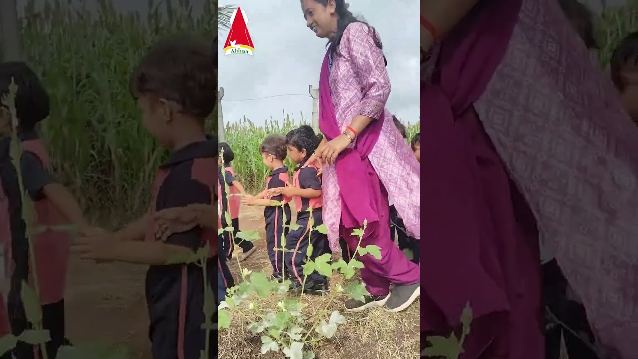 Field Visit to Organic Farm