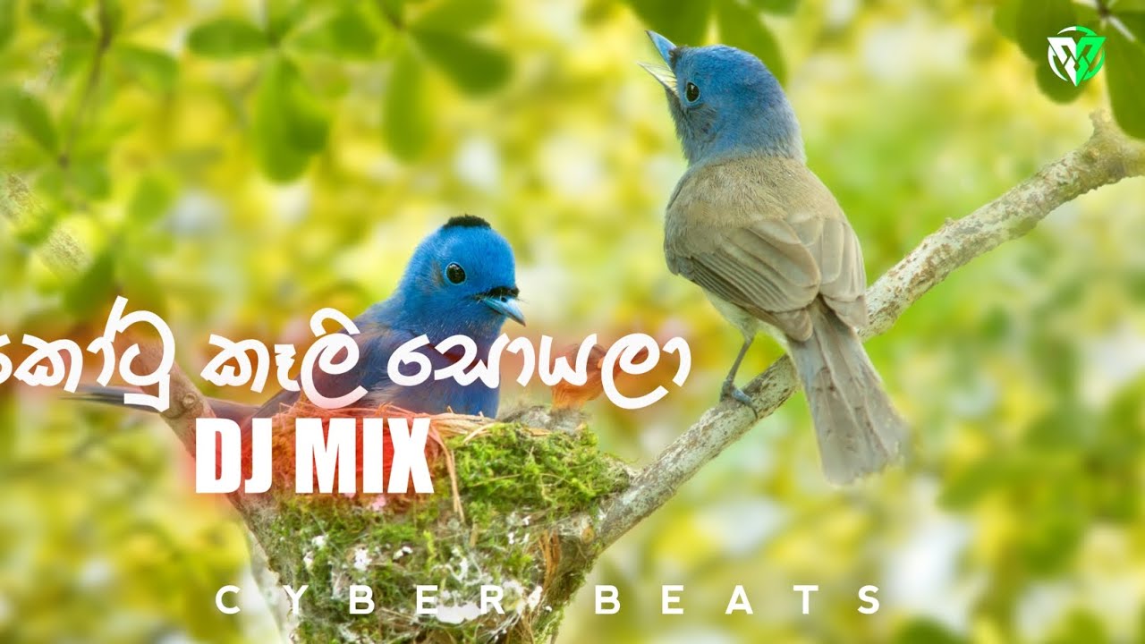 KOTU KALI SOYALA DJ REMIX | කෝටු කෑලි සොයලා | CYBER BEATS
