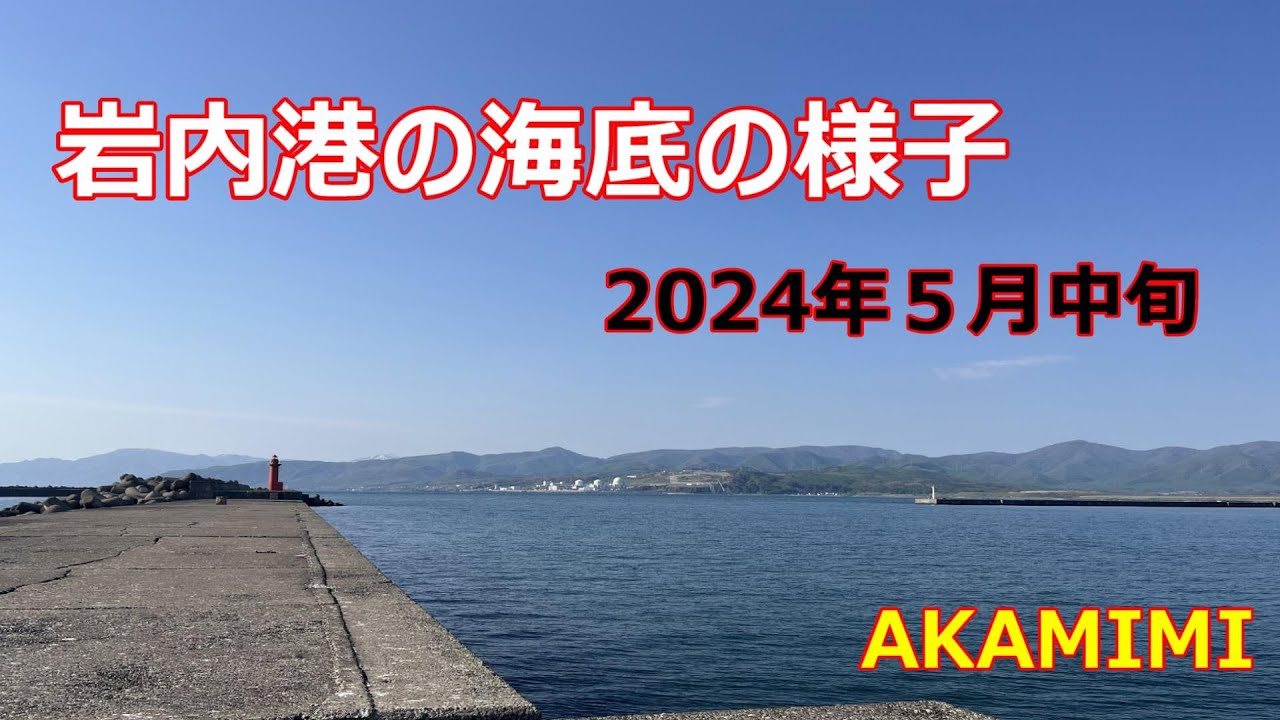 【北海道の釣り／水中映像】岩内港の海底の様子（５月中旬）