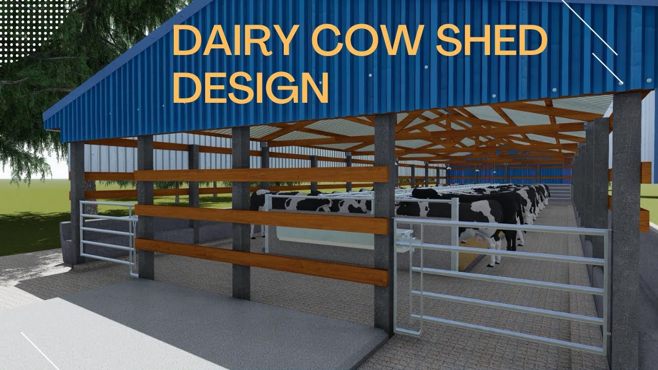 Cow Shed Plans and Design | Dairy Farm Design