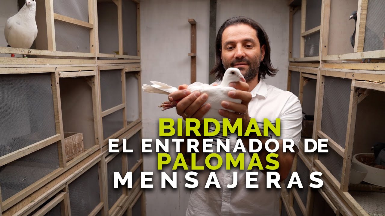 Birdman el entrenador de palomas mensajeras | El Colombiano