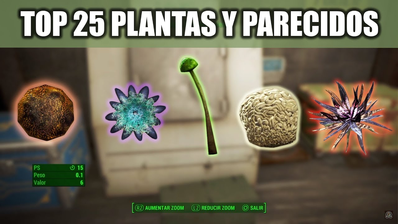 FALLOUT 4 | TOP 25 PLANTAS Y PARECIDOS