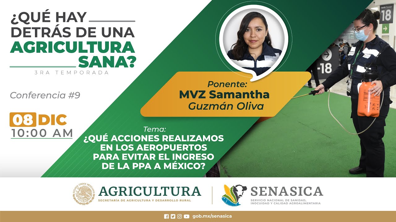 Ep. 9 ¿Qué acciones realizamos en los aeropuertos para evitar el ingreso de la PPA en México?