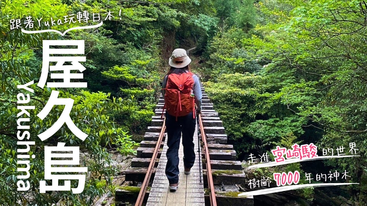 【日本旅遊】鹿児島県｜探索神秘的屋久島！造訪宮崎駿《幽靈公主》夢幻秘境 。在原始森林中走了9小時，終於看到推測樹齡7000年的縄文杉