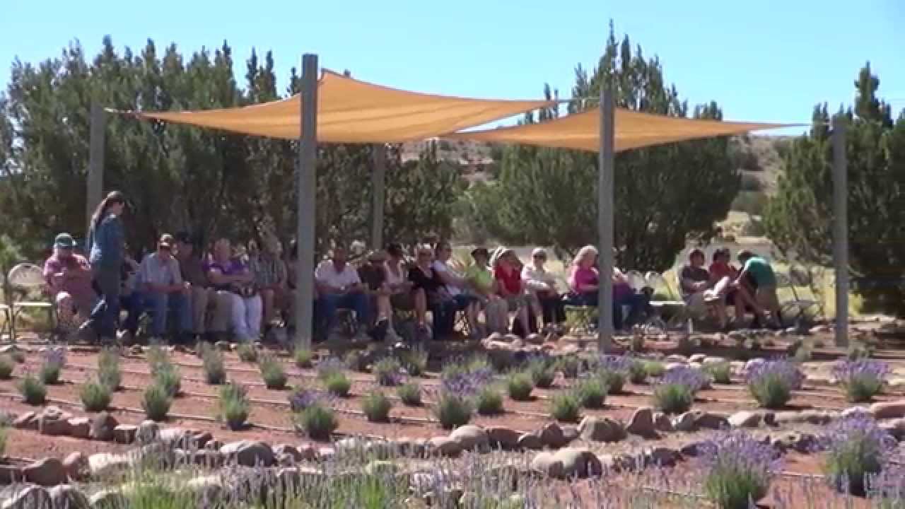 Celebrating Specialty Crops Episode 1: Lavender