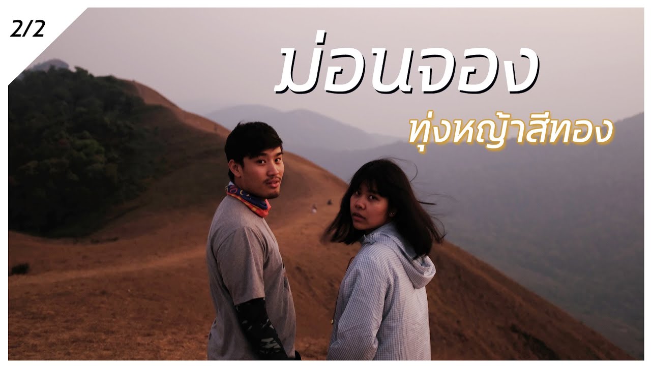 เดินเล่นบนทุ่งหญ้าสีทอง ไปจนผาหัวสิงห์ [ชวนกันไปพัง EP.6]  4K Clip ขึ้นม่อนจอง 2/2