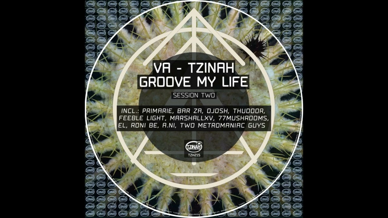 Primarie - The Real You (Original Mix) // TZH215