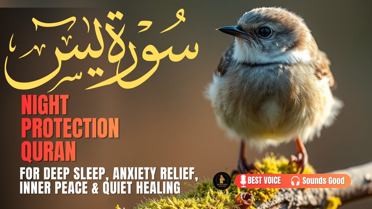 NIGHT PROTECTION QURAN | SURAH YASIN FOR DEEP SLEEP, ANXIETY RELIEF, INNER PEACE & QUIET HEALING