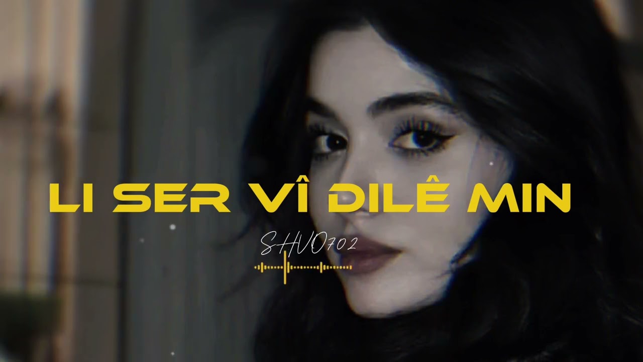 Shvo702-Li Ser Vî Dilê Min (Remix)