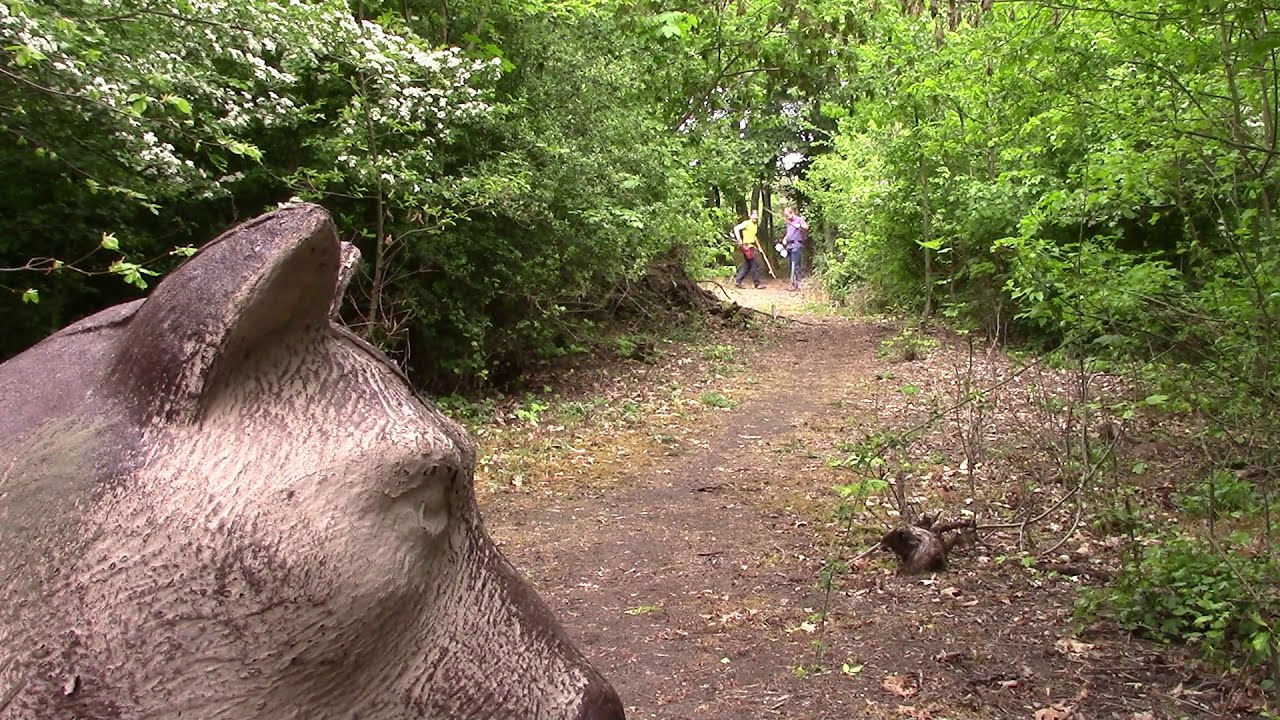 LUKOSTŘELBA 3D PARKUR HRADEC KRÁLOVÉ