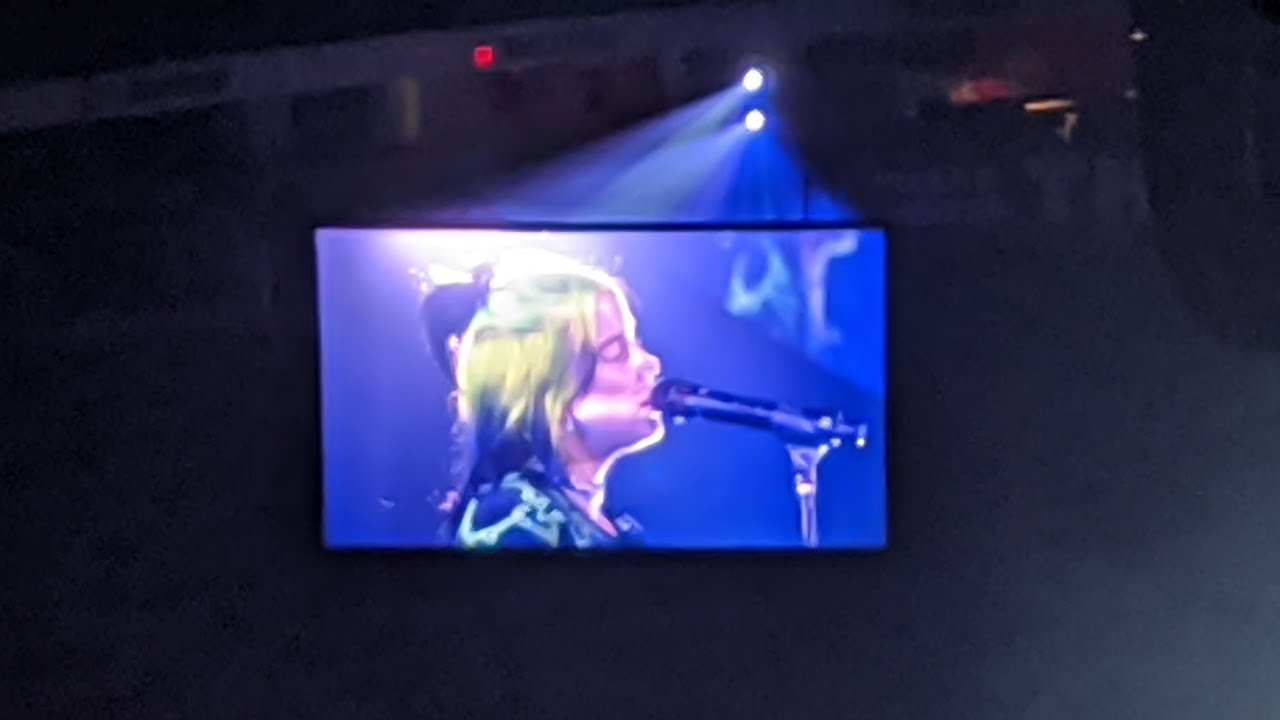 Billie Eilish Bury a friend Live