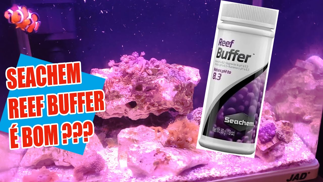 SEACHEM REEF BUFFER (OPINIÃO)