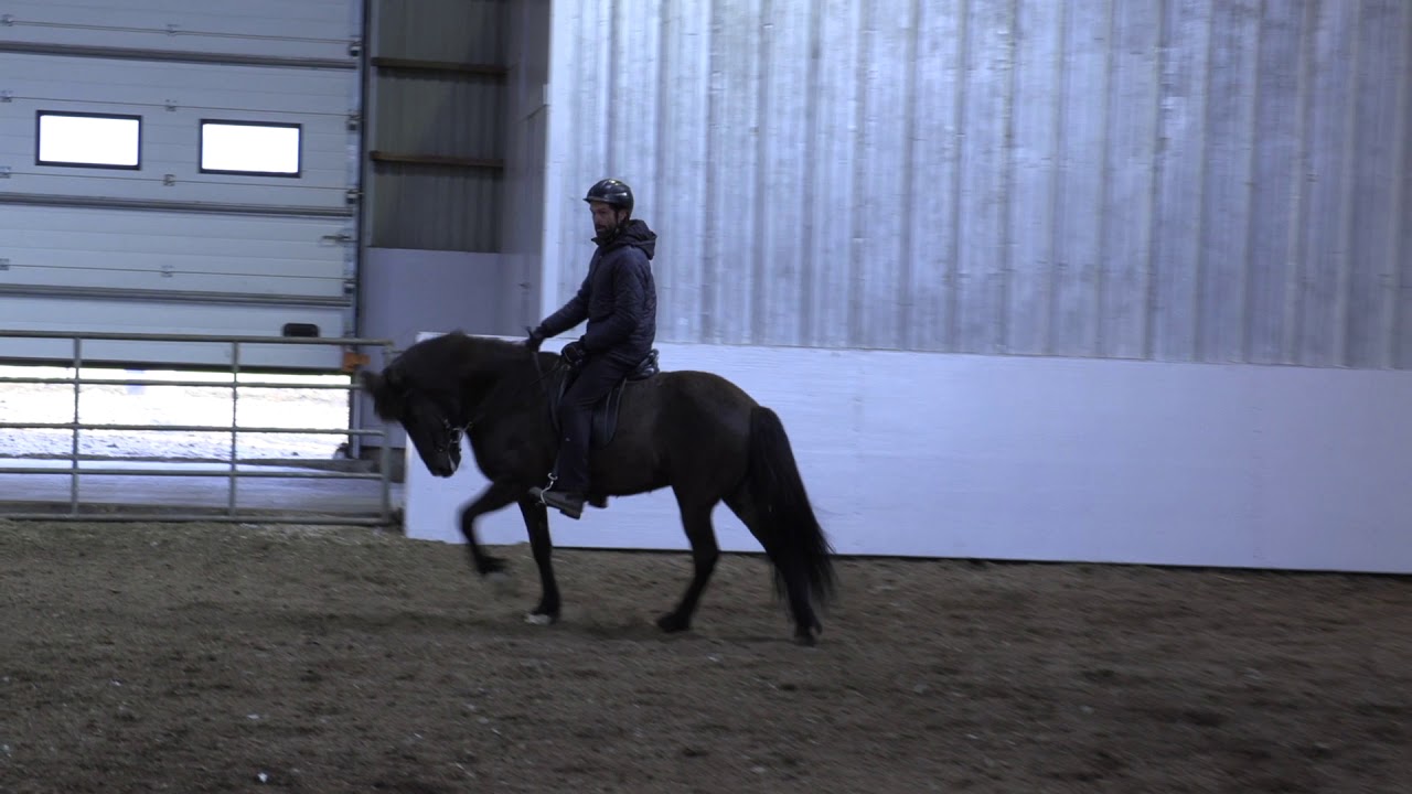 Kilja in training