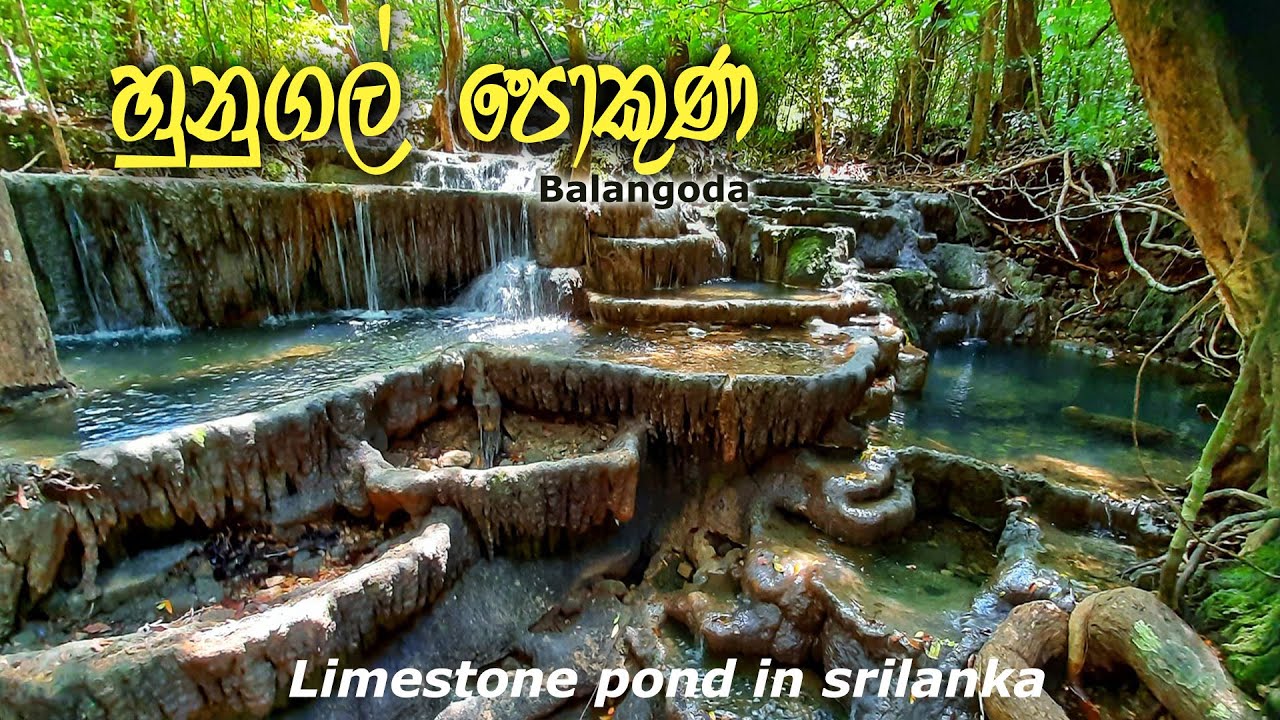Hunugal Pokuna| හුණුගල් පොකුණ |Kalthota – A Hidden Gem in Sri Lanka 🇱🇰