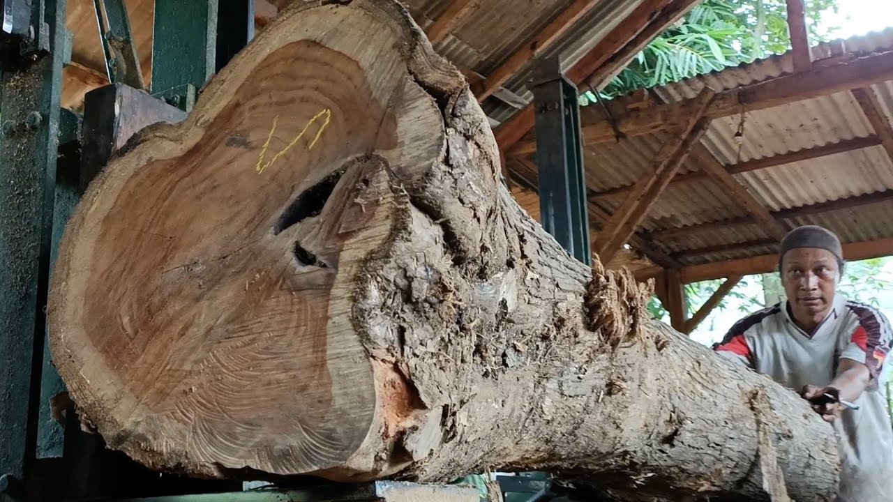 Techniques and systems controlled by the human brain || Satisfying log sawing 
