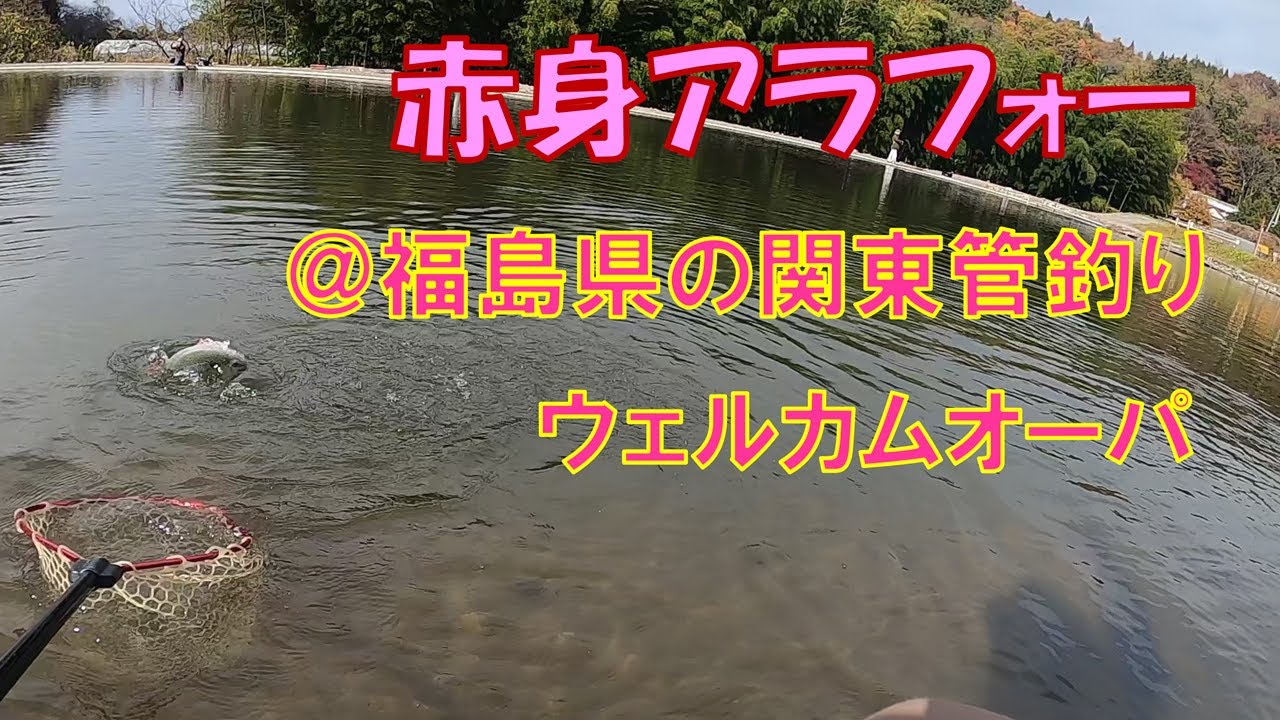 福島県の関東風トラウトエリア「ウェルカムオーパ」アラフォー赤身入ってました