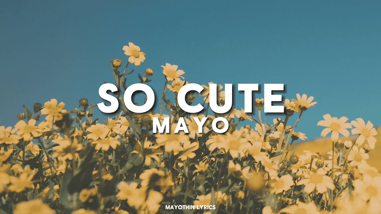 ✮⋆˙ SO CUTE - MAYO (lyrics) ✮⋆˙