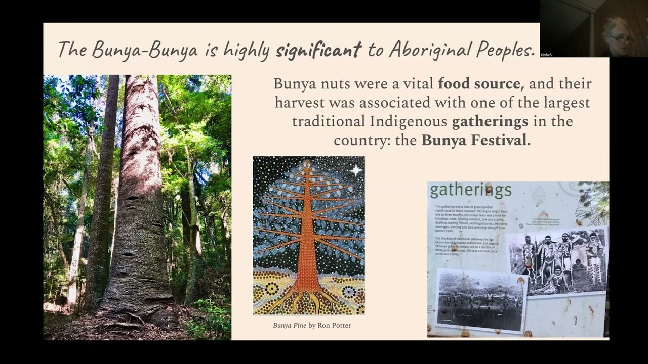 Sheila Pugsley Australia Pt 1