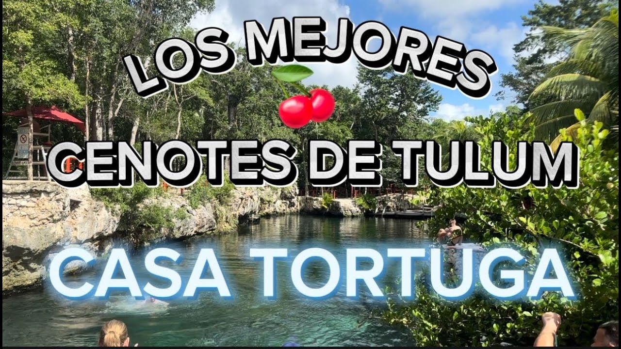 Casa Tortuga, los mejores y más baratos cenotes 🍒 de TULUM 🌴 para 2025