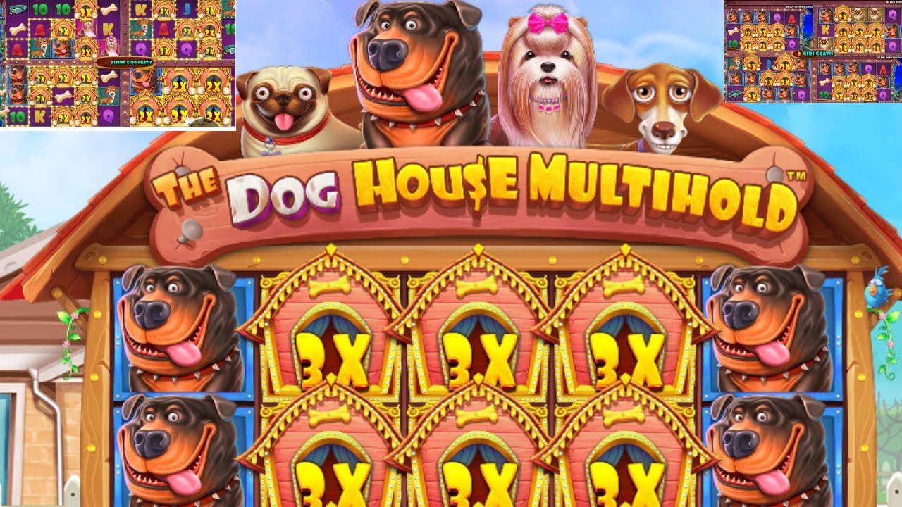 Experience Thrilling Wins in The Dog House MultiHold! 🐾💰