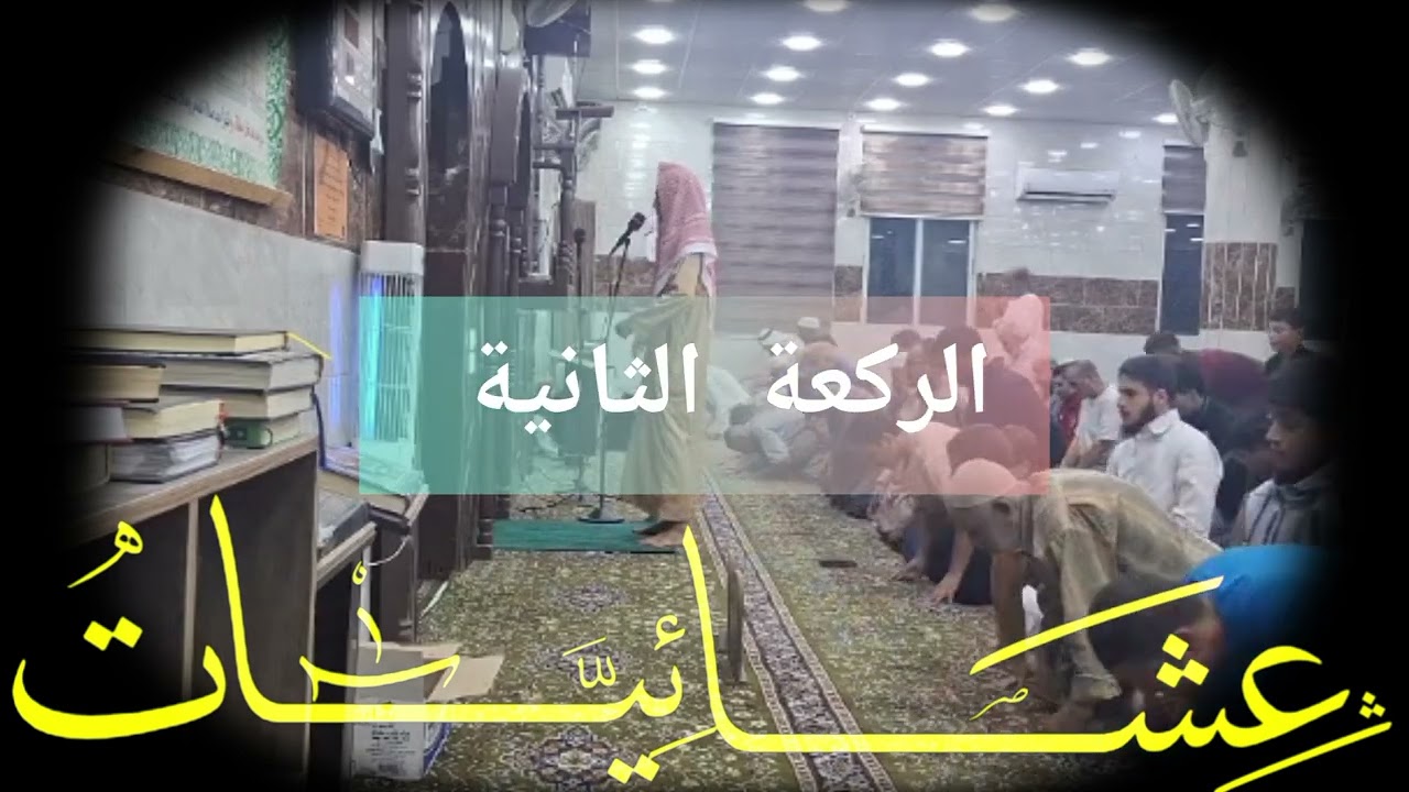 تلاوات عام 2025مـ /1447هـ  || القارئ علاء الصافي 