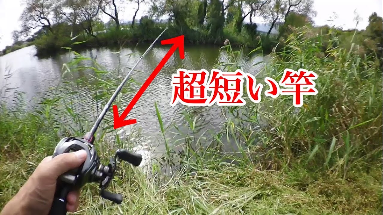 ”ベリー”ショートロッドで野池釣行！入れ食いスポット発見！【マニアックロッドシリーズ】