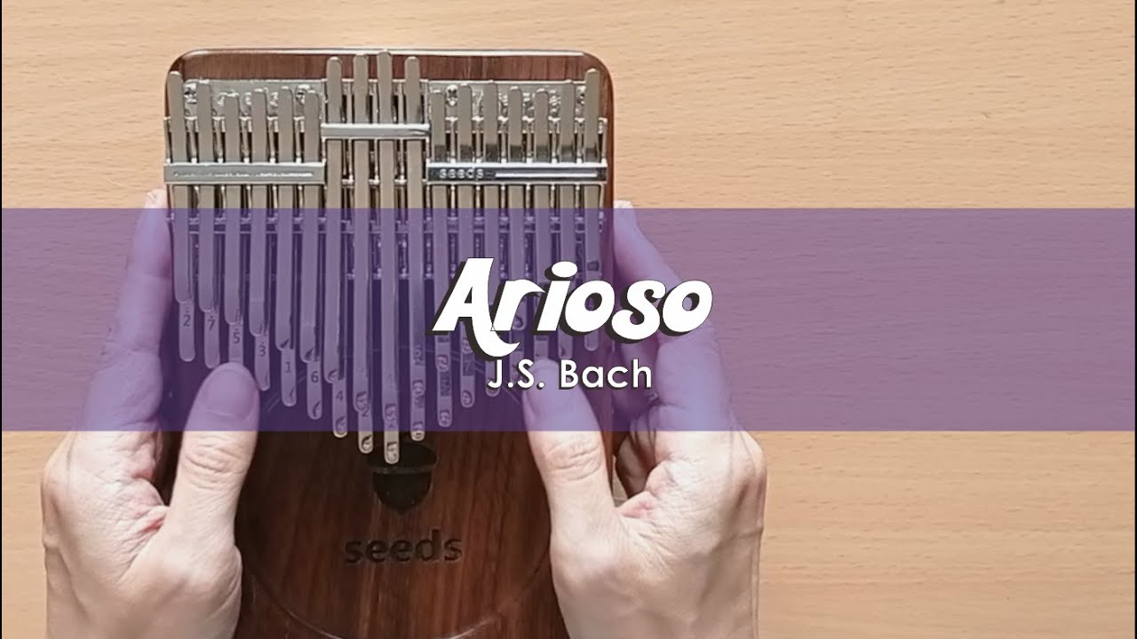 Arioso (J.S. Bach) | Seeds 34 Keys Chromatic Kalimba Cover With Number & Letter Notations