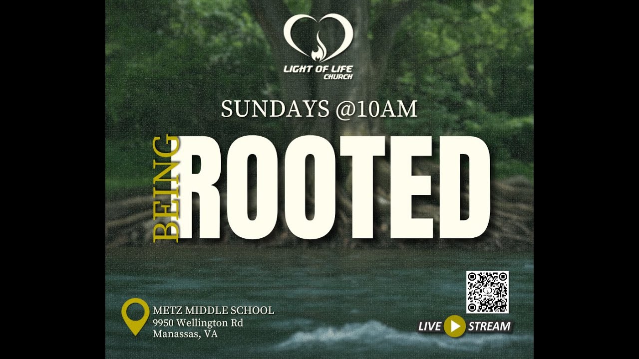 Being ROOTED - Part 2 (The Purification Process)