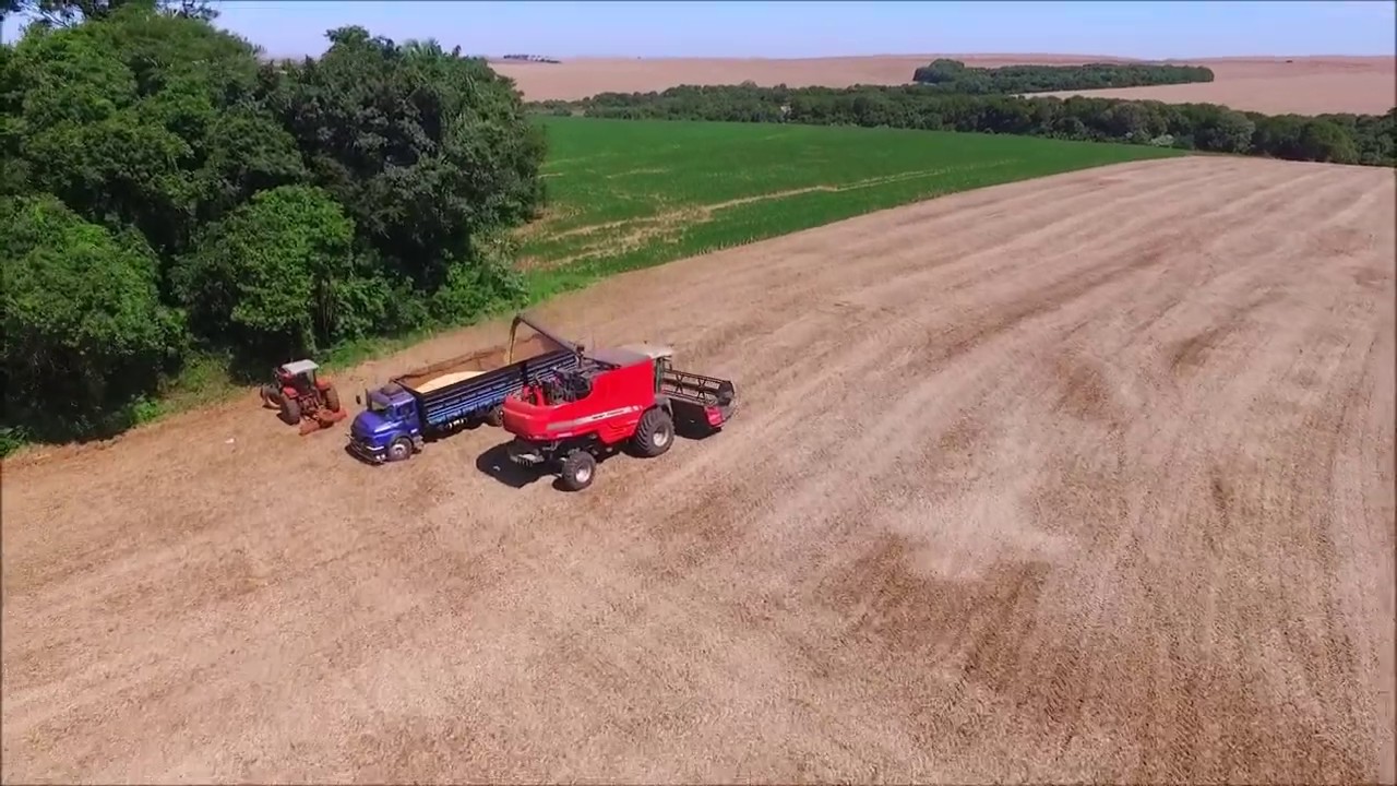 MF 4690 & 5650 COLHENDO SOJA 2019
