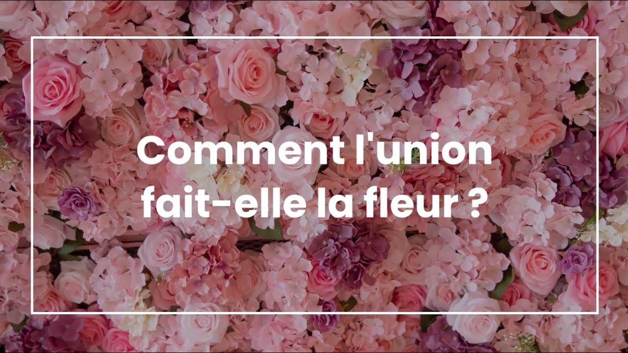 L'union fait-elle la fleur ?