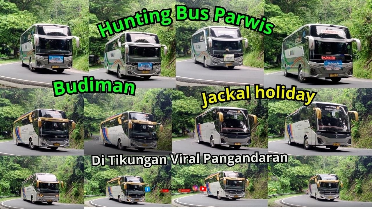 🚌HUNTING BUS PARIWISATA BUDIMAN & JACKAL HOLIDAY DLL 🤩DI TIKUNGAN VIRAL PANGANDARAN!🔥