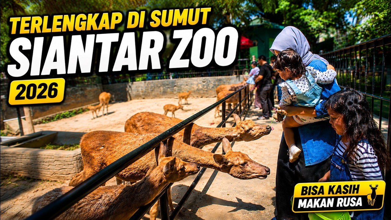 Siantar Zoo 2026 – Kebun Binatang Terlengkap di Sumatera Utara | Taman Hewan Pematang Siantar