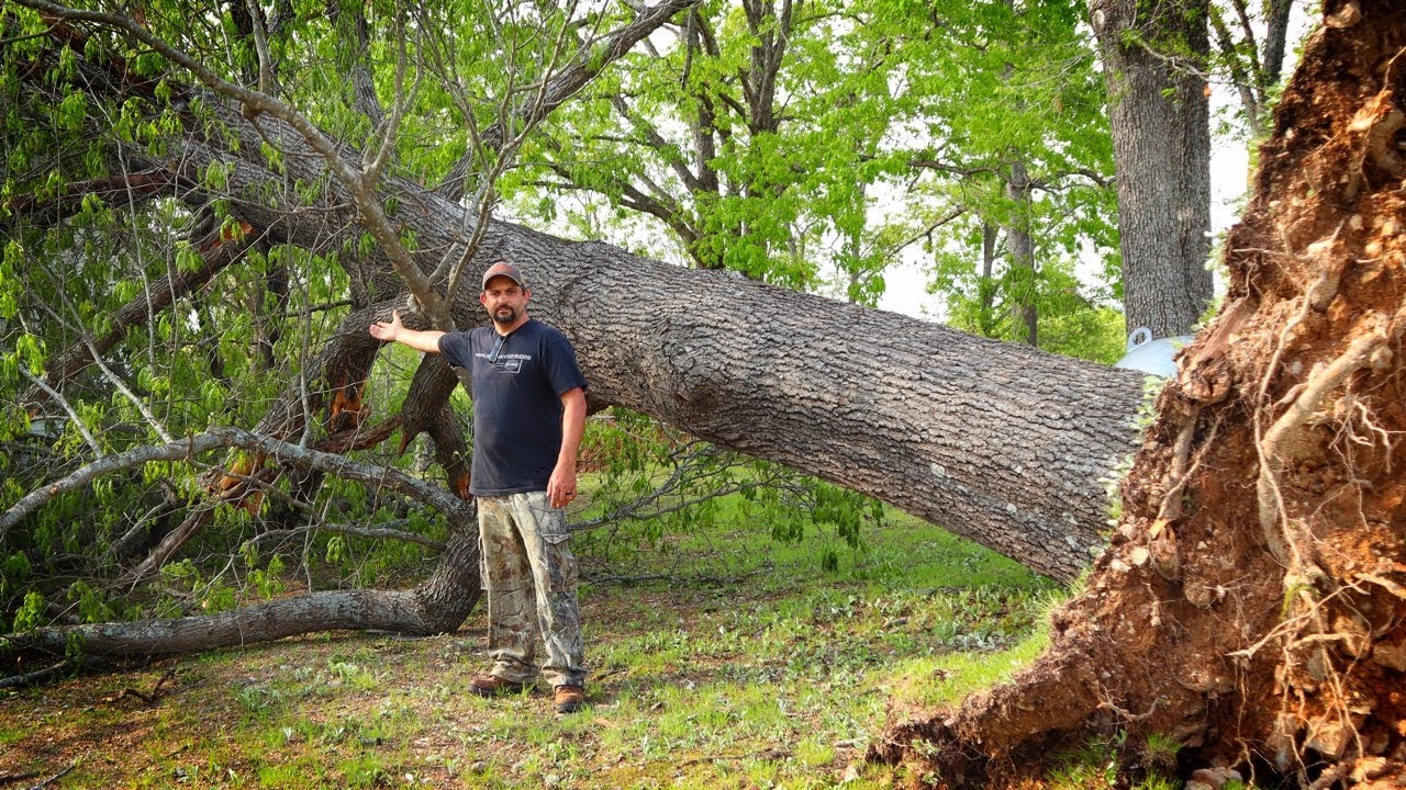 After The Storm...Tornadoes In The Missouri Ozark's