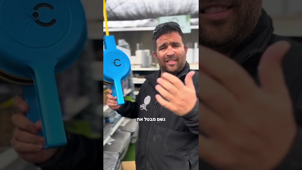 מה עושים עם פריחת המנגו בחודש פברואר? וגם מבצע על מגפר