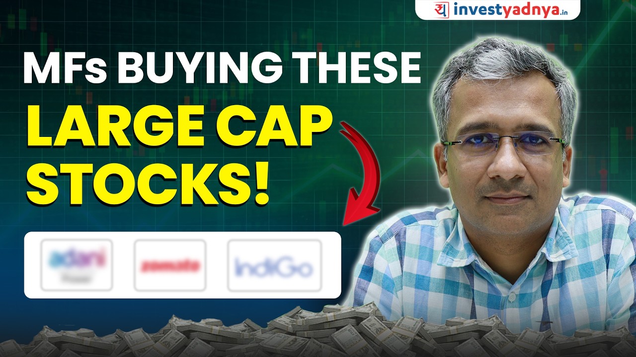 Which Large Cap Stocks MFs Bought in 2025? | Mutual Fund Monday