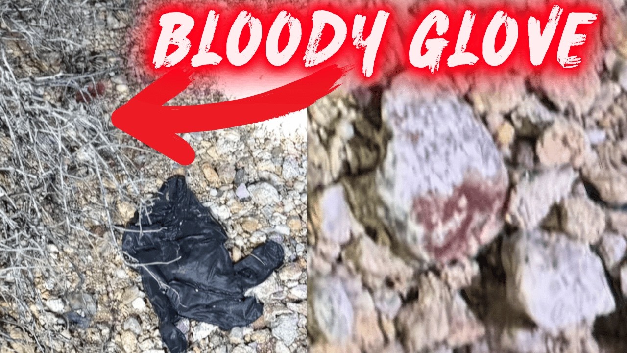 NEW info: Bloody Gloves Found Less Than a Mile From Nancy Guthrie&rsquo;s Home
