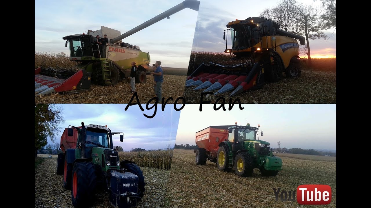 Kukurydza na ziarno 2k17 w GR Grzyb  z Agro Fan i PodolanyTEAM